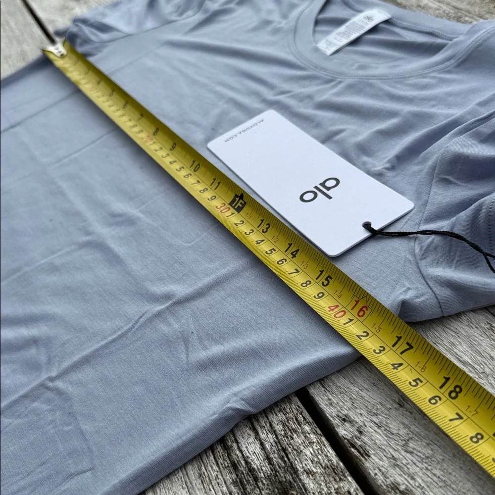 ALO All Day Short Sleeve tee winter‎ frost NWT SIZE Small